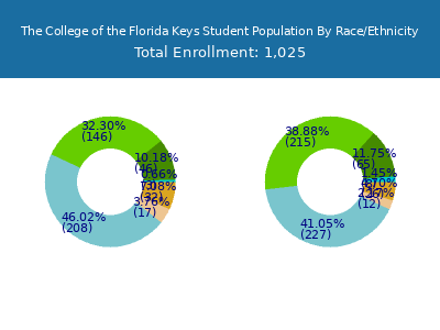 The College of the Florida Keys 2025 Student Population by Gender and Race chart
