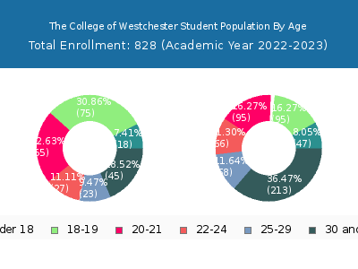 The College of Westchester 2023 Student Population Age Diversity Pie chart