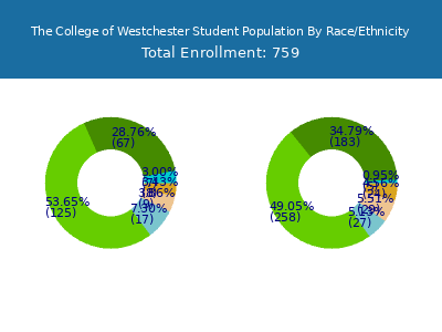 The College of Westchester 2025 Student Population by Gender and Race chart