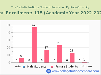 The Esthetic Institute 2023 Student Population by Gender and Race chart