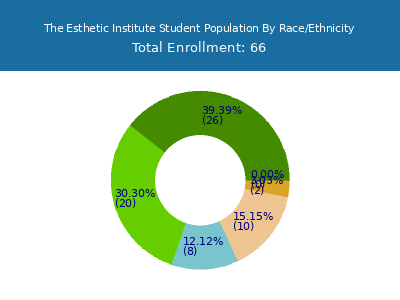 The Esthetic Institute 2025 Student Population by Gender and Race chart