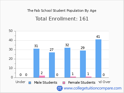 The Fab School 2024 Student Population by Age chart