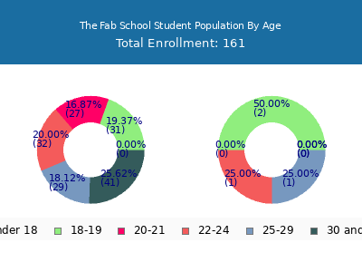 The Fab School 2024 Student Population Age Diversity Pie chart