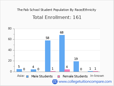 The Fab School 2025 Student Population by Gender and Race chart