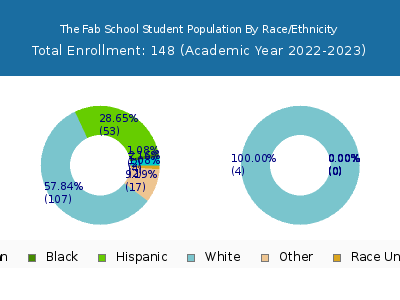 The Fab School 2023 Student Population by Gender and Race chart