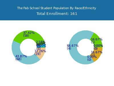 The Fab School 2025 Student Population by Gender and Race chart
