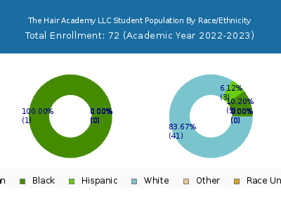 The Hair Academy LLC 2023 Student Population by Gender and Race chart