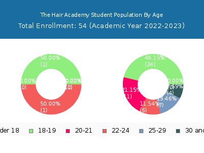 The Hair Academy 2023 Student Population Age Diversity Pie chart