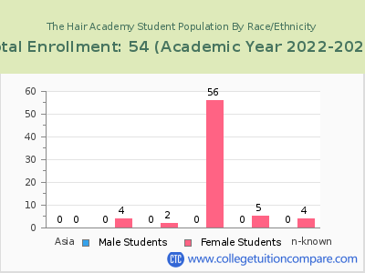 The Hair Academy 2023 Student Population by Gender and Race chart