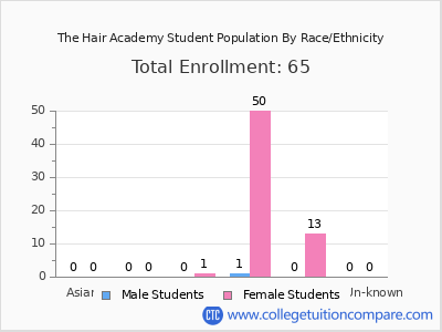 The Hair Academy 2025 Student Population by Gender and Race chart