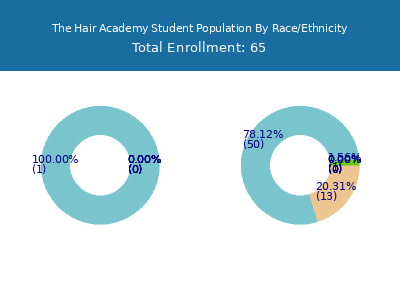 The Hair Academy 2025 Student Population by Gender and Race chart