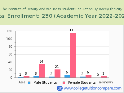 The Institute of Beauty and Wellness 2023 Student Population by Gender and Race chart