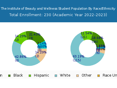 The Institute of Beauty and Wellness 2023 Student Population by Gender and Race chart