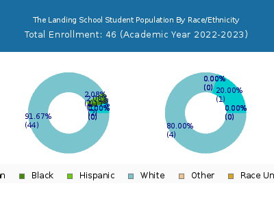 The Landing School 2023 Student Population by Gender and Race chart