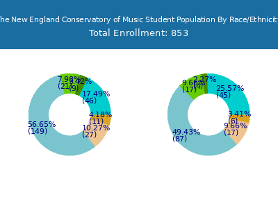 The New England Conservatory of Music 2025 Student Population by Gender and Race chart
