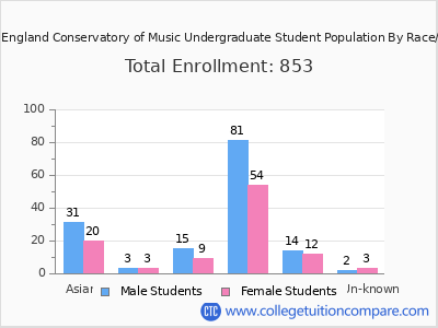 The New England Conservatory of Music 2025 Undergraduate Enrollment by Gender and Race chart