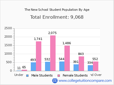 The New School 2025 Student Population by Age chart