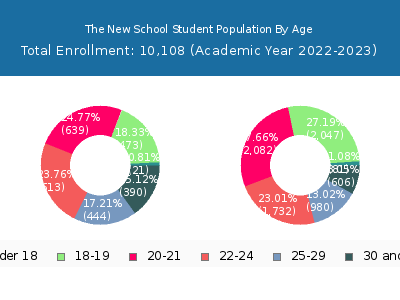 The New School 2023 Student Population Age Diversity Pie chart