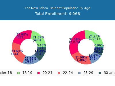 The New School 2025 Student Population Age Diversity Pie chart