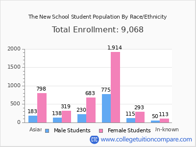 The New School 2025 Student Population by Gender and Race chart