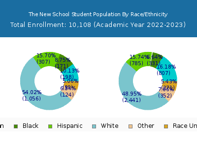 The New School 2023 Student Population by Gender and Race chart