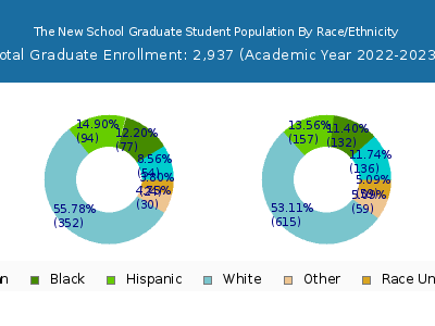 The New School 2023 Graduate Enrollment by Gender and Race chart