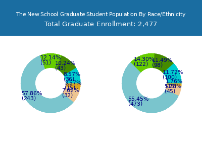 The New School 2025 Graduate Enrollment by Gender and Race chart