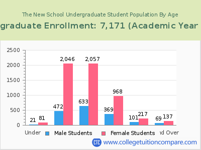 The New School 2023 Undergraduate Enrollment by Age chart