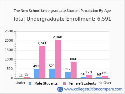 The New School 2025 Undergraduate Enrollment by Age chart