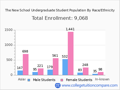 The New School 2025 Undergraduate Enrollment by Gender and Race chart