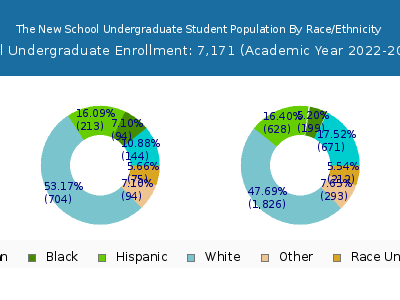 The New School 2023 Undergraduate Enrollment by Gender and Race chart