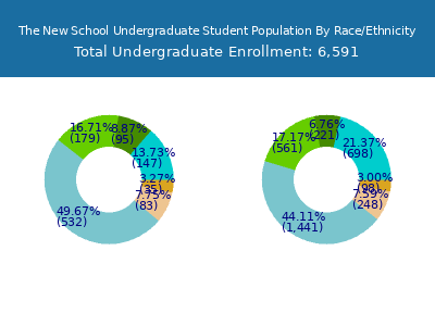 The New School 2025 Undergraduate Enrollment by Gender and Race chart
