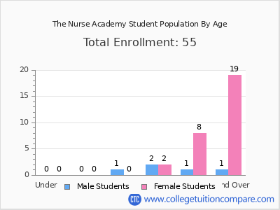 The Nurse Academy 2024 Student Population by Age chart