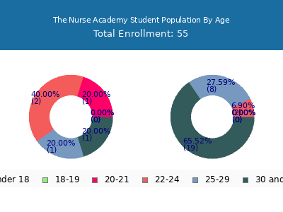 The Nurse Academy 2024 Student Population Age Diversity Pie chart