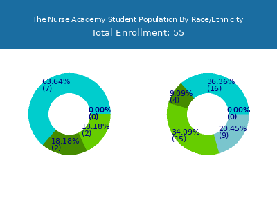 The Nurse Academy 2025 Student Population by Gender and Race chart
