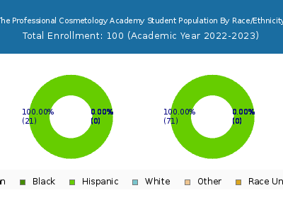 The Professional Cosmetology Academy 2023 Student Population by Gender and Race chart