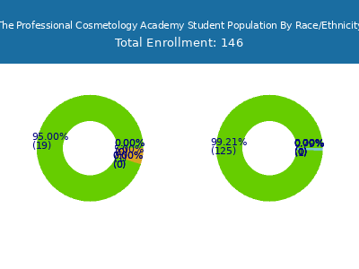 The Professional Cosmetology Academy 2025 Student Population by Gender and Race chart