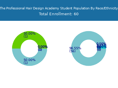 The Professional Hair Design Academy 2025 Student Population by Gender and Race chart