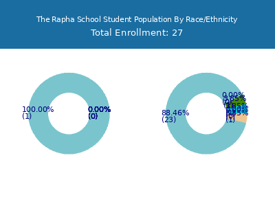 The Rapha School 2025 Student Population by Gender and Race chart