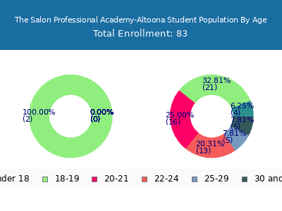 The Salon Professional Academy-Altoona 2024 Student Population Age Diversity Pie chart