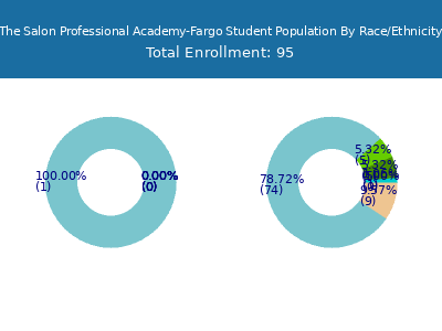 The Salon Professional Academy-Fargo 2025 Student Population by Gender and Race chart