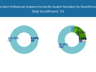 The Salon Professional Academy-Huntsville 2025 Student Population by Gender and Race chart