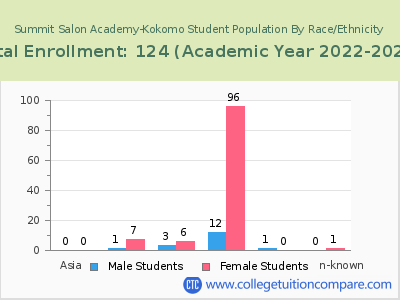 Summit Salon Academy-Kokomo 2023 Student Population by Gender and Race chart