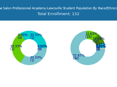 The Salon Professional Academy-Lewisville 2025 Student Population by Gender and Race chart