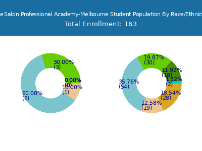 The Salon Professional Academy-Melbourne 2025 Student Population by Gender and Race chart