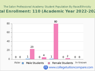 The Salon Professional Academy 2023 Student Population by Gender and Race chart