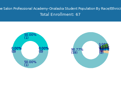 The Salon Professional Academy-Onalaska 2025 Student Population by Gender and Race chart