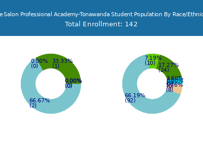 The Salon Professional Academy-Tonawanda 2025 Student Population by Gender and Race chart