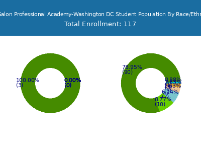 The Salon Professional Academy-Washington DC 2025 Student Population by Gender and Race chart
