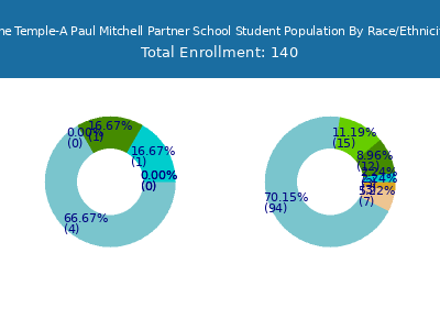 The Temple-A Paul Mitchell Partner School 2025 Student Population by Gender and Race chart